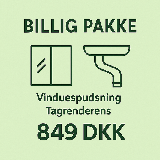 🧼 Basis Rens – Vinduer og tagrender